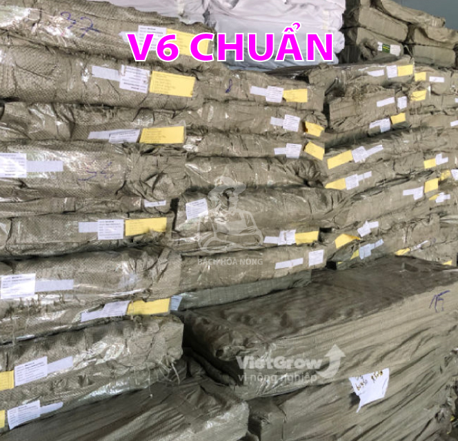 Bầu ươm V6 PHỔ THÔNG - dầy 0.7mm