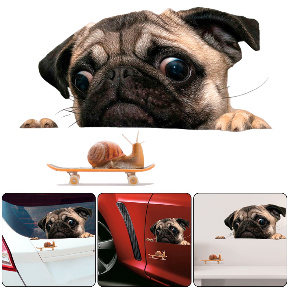 Decal chú chó và ốc sên