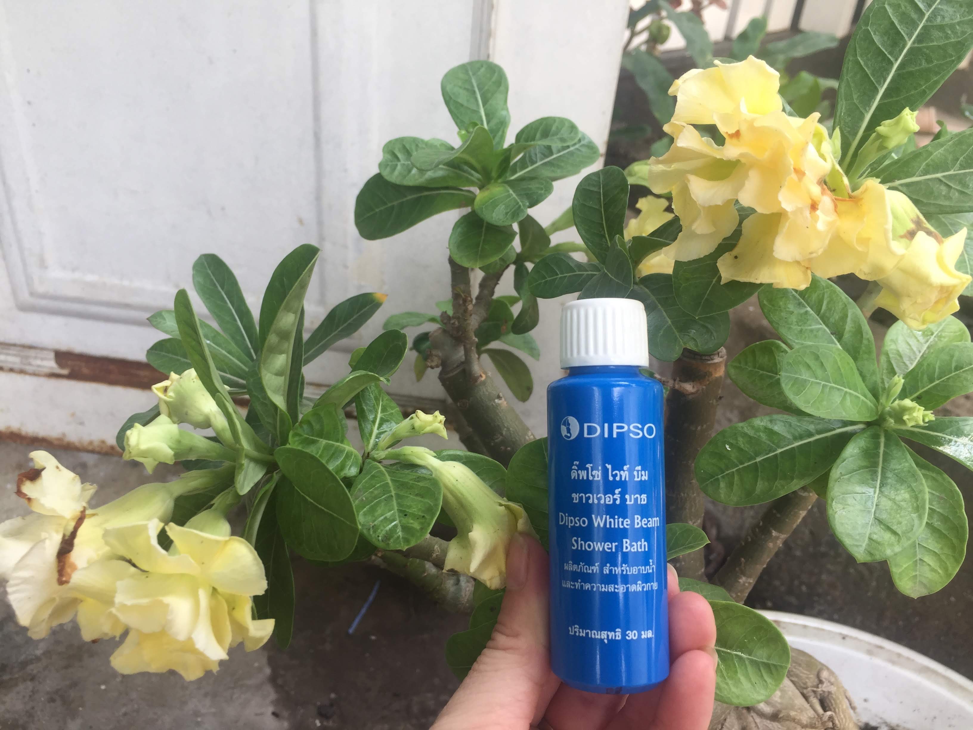 Sét tắm trắng da từ thiên nhiên DIPSO Thái Lan 90 ml