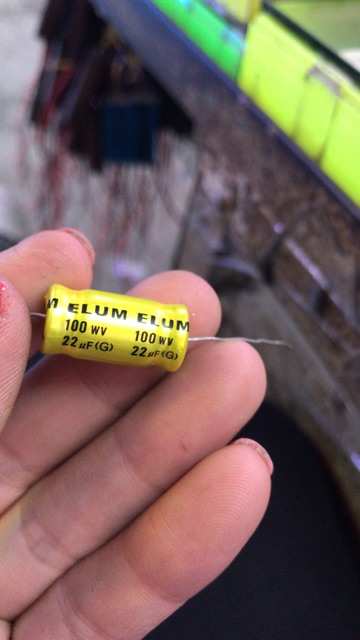 2 chiếc tụ 2 đầu 22mf 100v