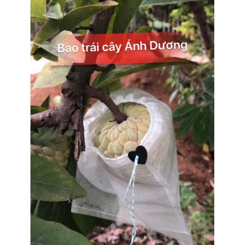 Bộ 100 túi bọc trái cây  kích thước 19*18cm (ổi, vú sữa, xoài, cam...)