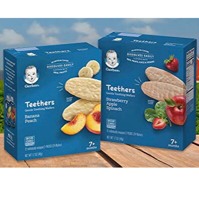 Bánh ăn dặm gặm nướu Gerber Teethers cho bé (Date mới 2022)
