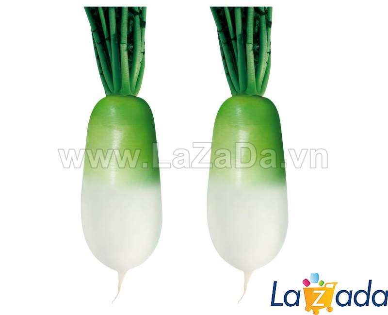 10GR 900.HẠT Hạt Giống Củ Cải Hàn Quốc 1.5KG F1 TG55 (| Z34*X56)