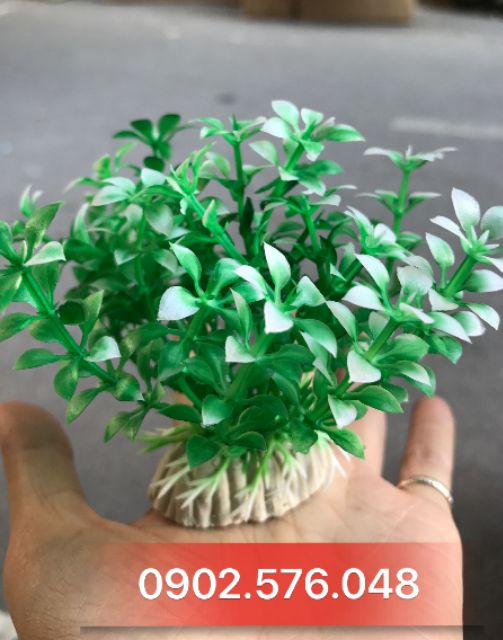 [HCM]Cây nhựa trang trí hồ cá nhỏ