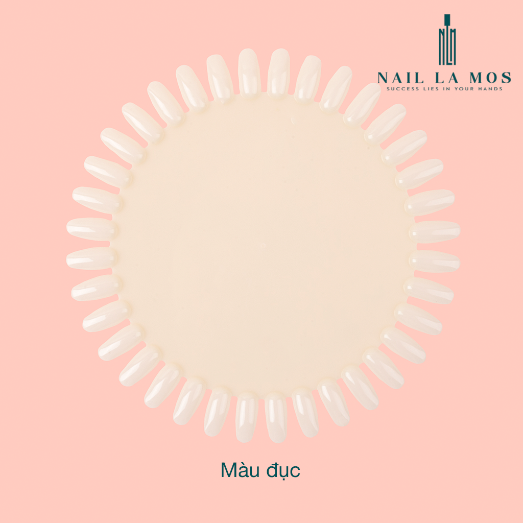 Móng mẫu tập vẽ, swatch màu sơn bản tròn 36 móng chuyên dụng