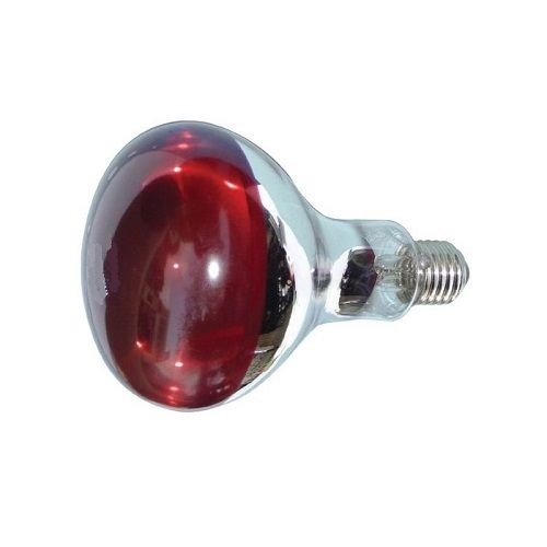 Bóng đèn hồng ngoại,SPA Dichtong (175w/250w)