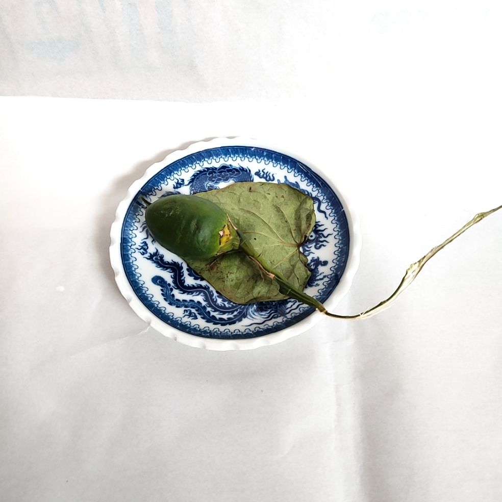 {SẴN HÀNG GIAO HỎA TỐC} Đĩa trầu cau thờ cúng sứ Bát Tràng men lam [đồ thờ cao cấp]