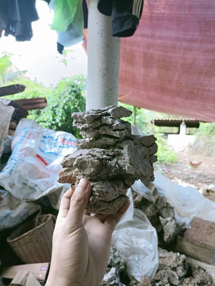 Đá ghép cây bonsai mini. trang trí bể cá cảnh