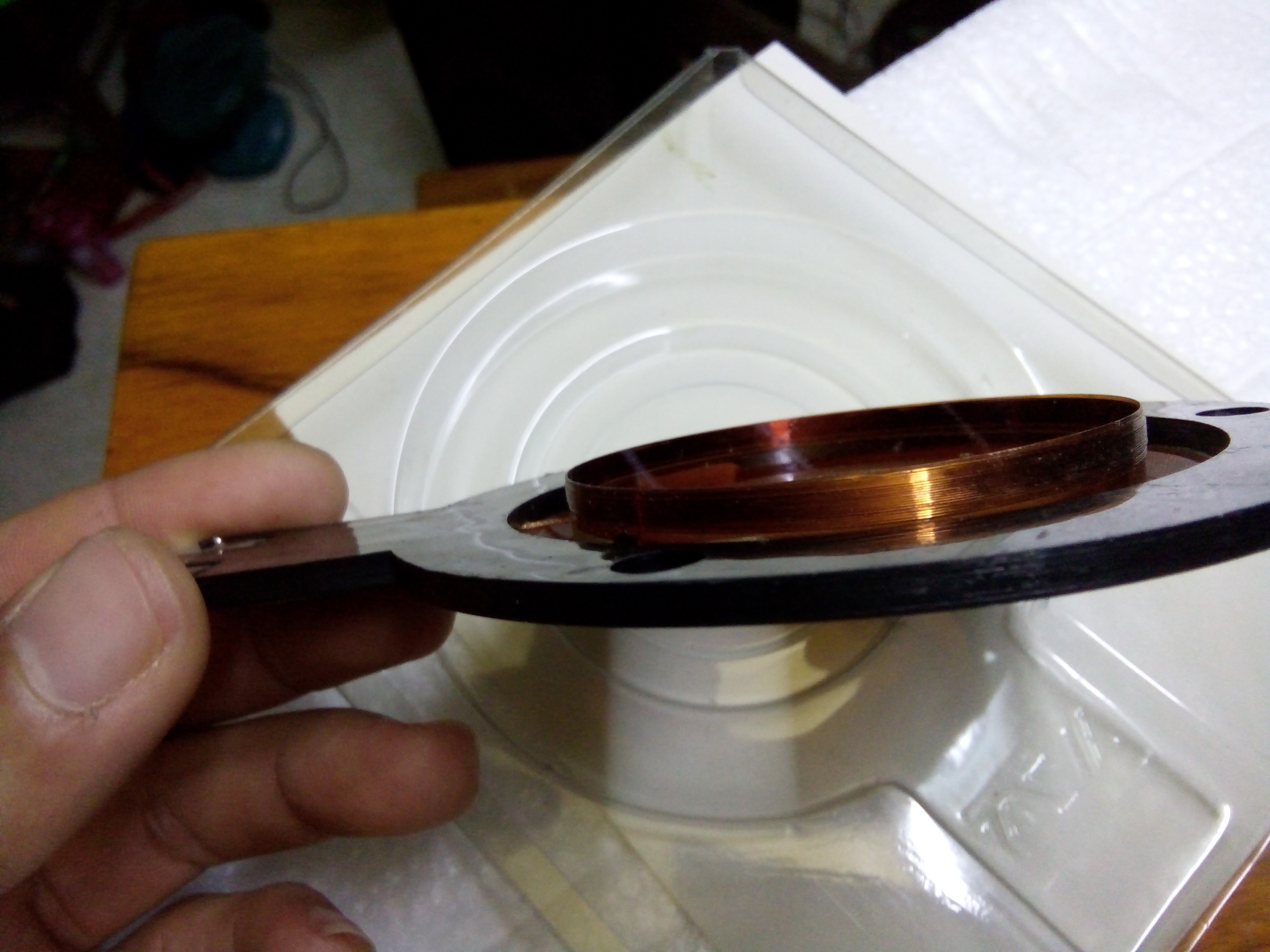 2 coil treble luu đan