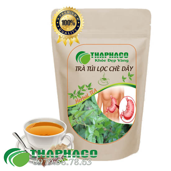 Trà Túi Lọc Chè Dây, Tốt Cho Tiêu Hóa - Thaphaco