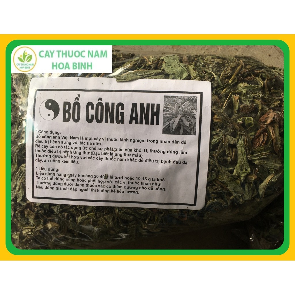 1KG LÁ BỒ CÔNG ANH HÒA BÌNH [KHÔ, XANH, SẠCH, THƠM]