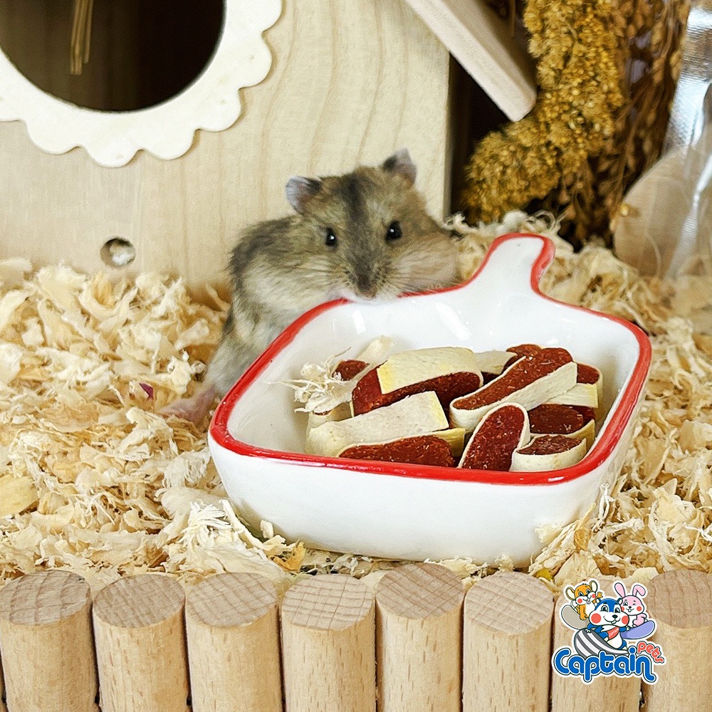 Đồ Ăn Vặt Cho Hamster - Sushi cuộn - Bách hóa Hamster