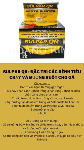 SULPAR QR - Hộp 100 viên