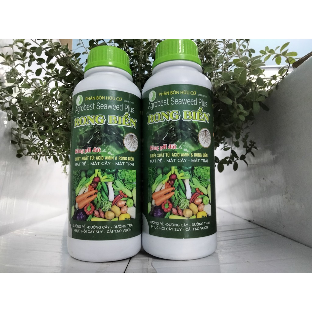 Phân bón từ rong biển lên men (chai 1 lít)