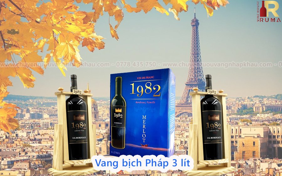 Vang đỏ Pháp 1982 Merlot 3 lít - Nước nho