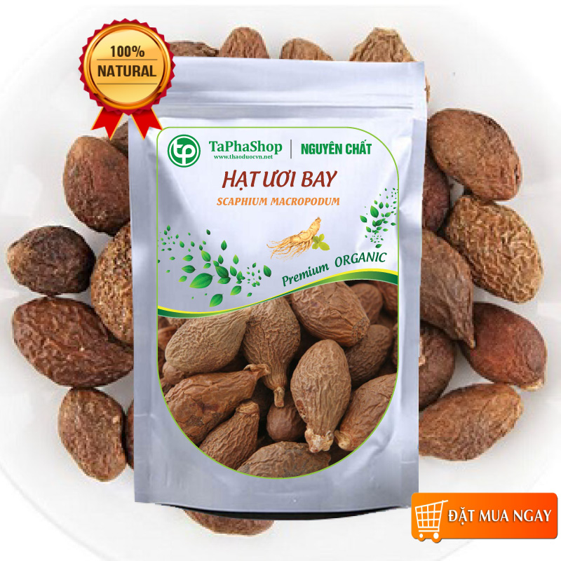 Hạt đười ươi 100g , Đười ươi bay sẻ, Hạt lười ươi - tấn phát