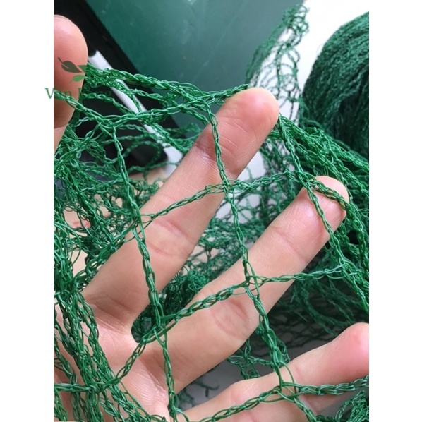 Lưới giàn leo, lưới trồng cây leo, lưới rào gà khổ rộng 2 mét