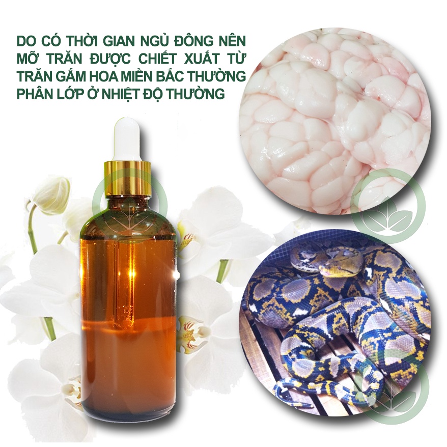 Combo sáp wax lông nhân sâm và mỡ trăn nguyên chất 10ml