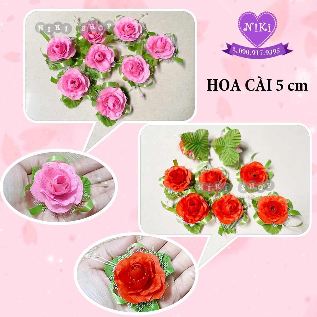 HOA CÀI ÁO & STICKER DÁN HAI HỌ