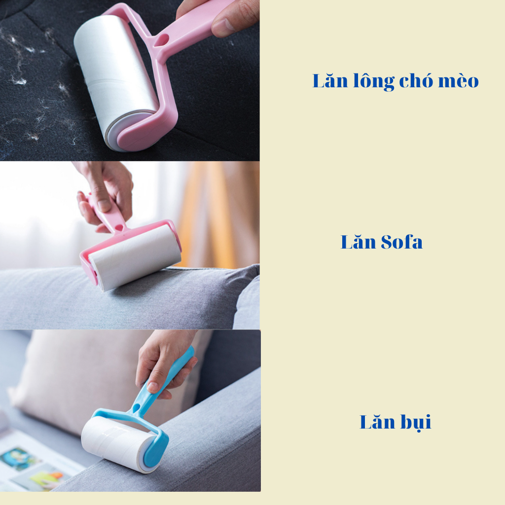 CÂY LĂN BỤI, LÔNG CHO MÈO TIỆN ÍCH