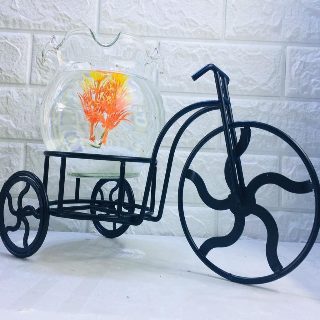 Bể cá mini để bàn xe đạp và chậu bèo