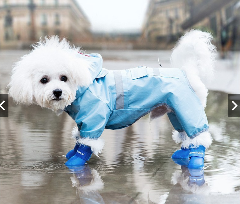 GIẦY DÉP CAO SU CHÓ MÈO THÚ CƯNG ĐỦ SIZE