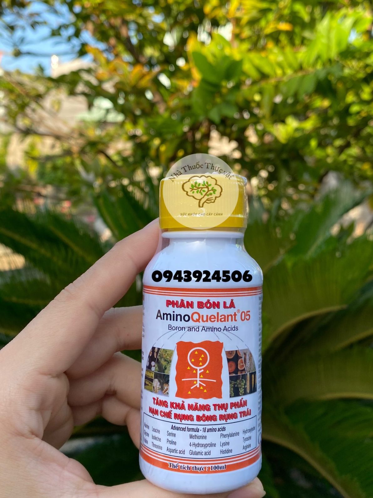 Phân bón lá Amino Quelant 05 chai 100ml. Phân bón vi lượng bo Growmore