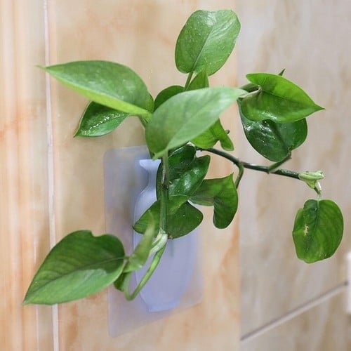 Bình Hoa Silicon Dán Tường Trang Trí
