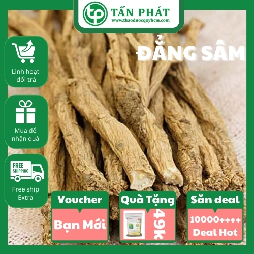 [New Arrivals] Dang Ginseng Dried in Bags 100g - Tan Phat - New Arrivals