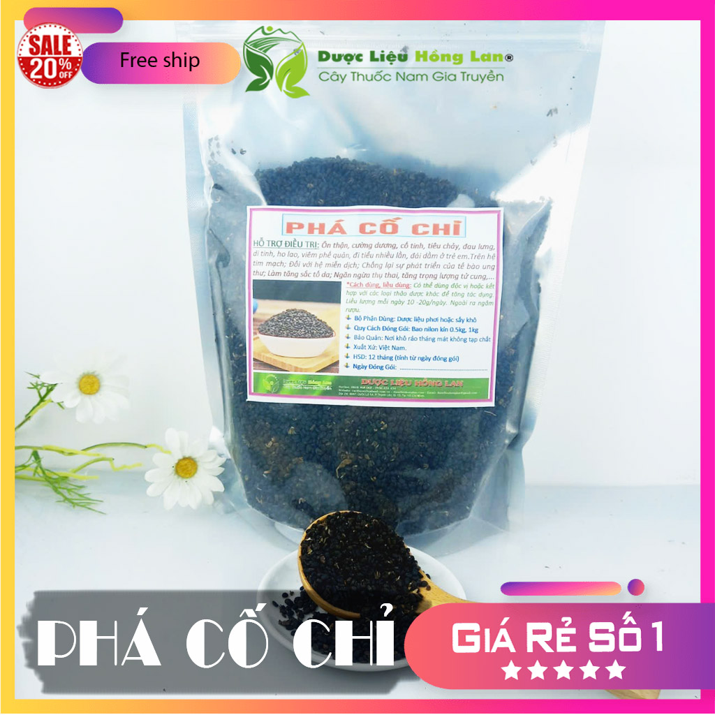 ✅[Thượng hạng] 100G Phá Cố Chỉ (Bổ Cốt Chỉ) khô sạch loại 1