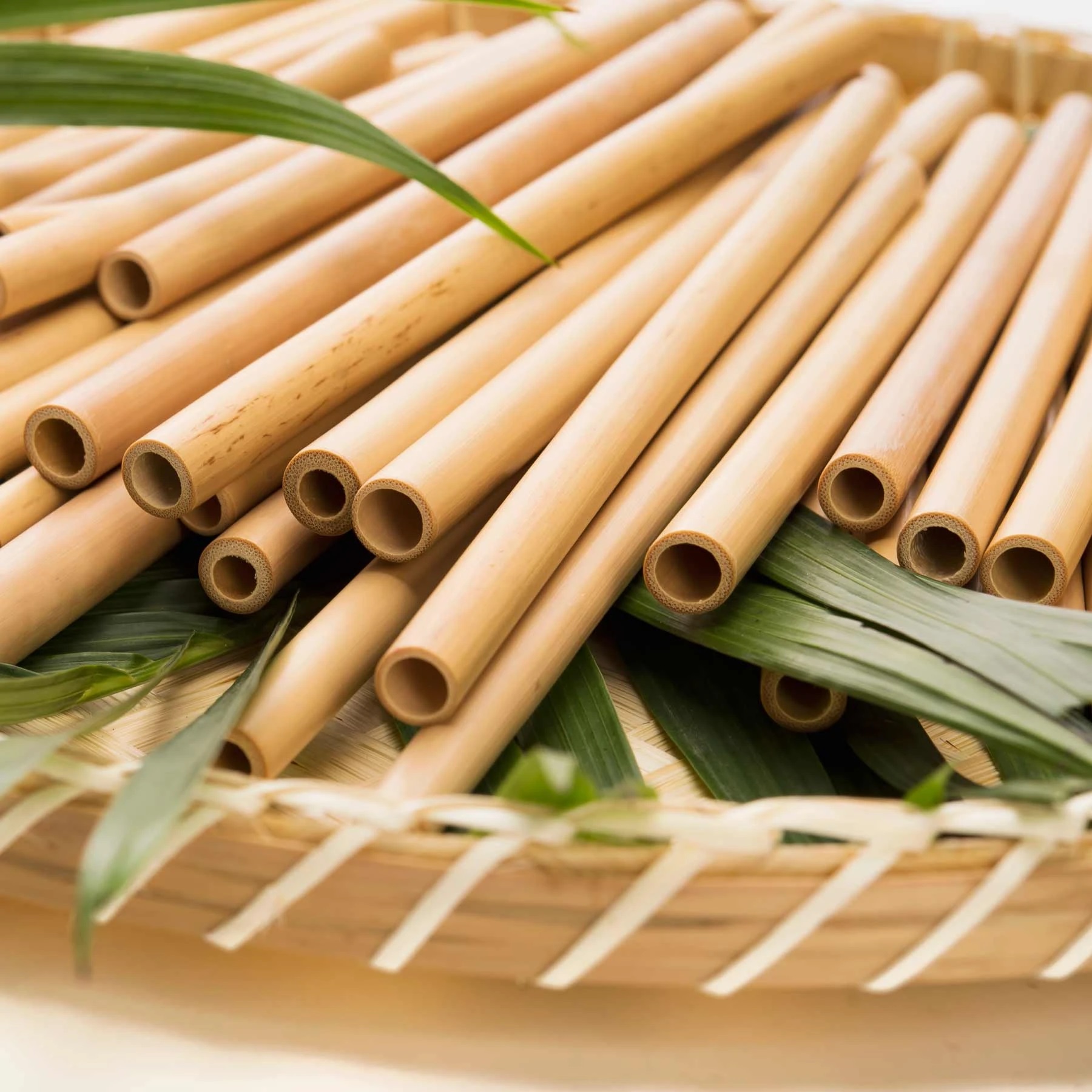Hộp 100 ống hút tre