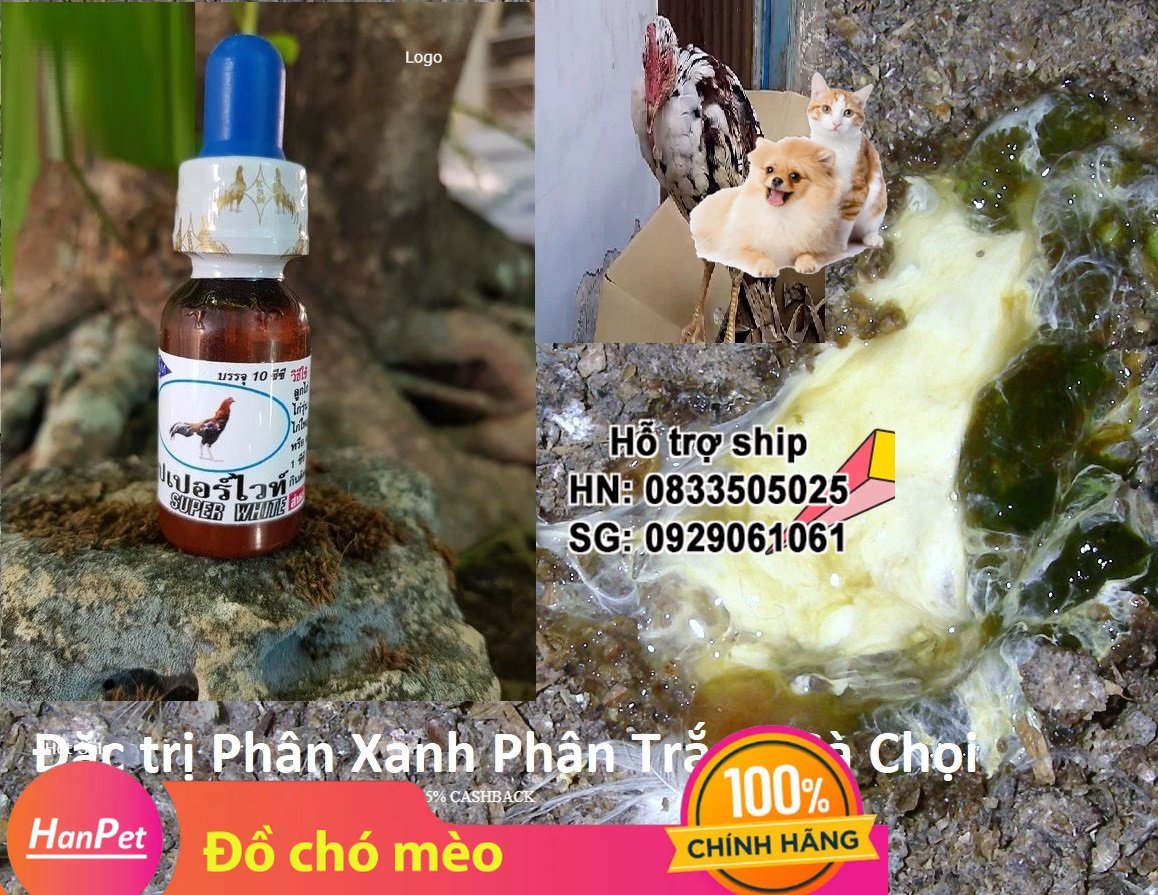 Hanpet - Đi ỉa gà chọi Super white - phân xanh gà đá, phân trắng gà dạng nước chai 10ml