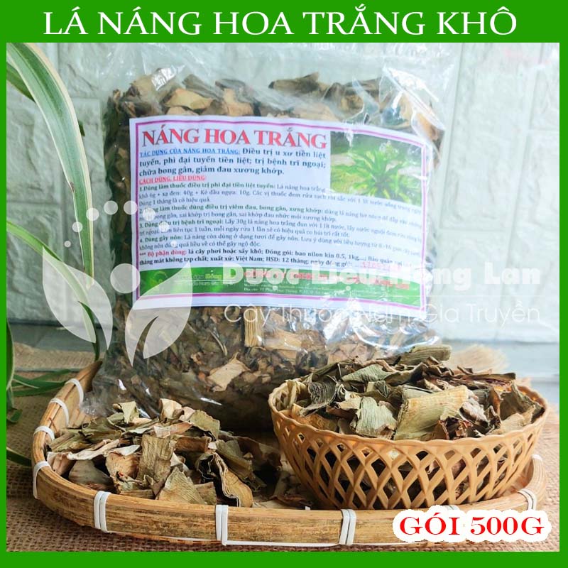 Lá Náng hoa trắng khô 500g - Hàng chính hãng