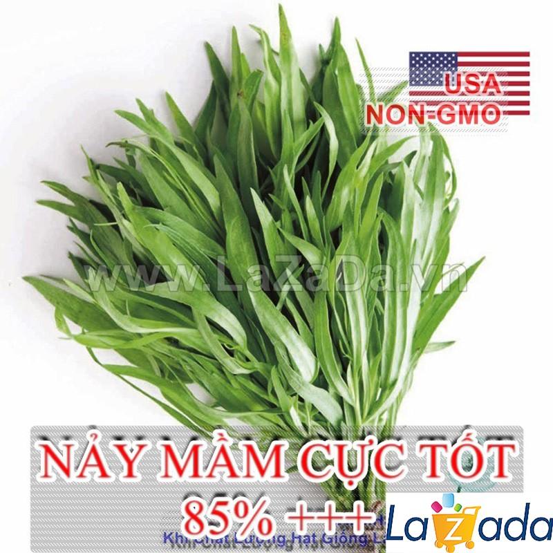 0.1GR 530.HAT Hạt Giống Ngải Giấm Tarragon Nga (KL| C26*X31*M243)