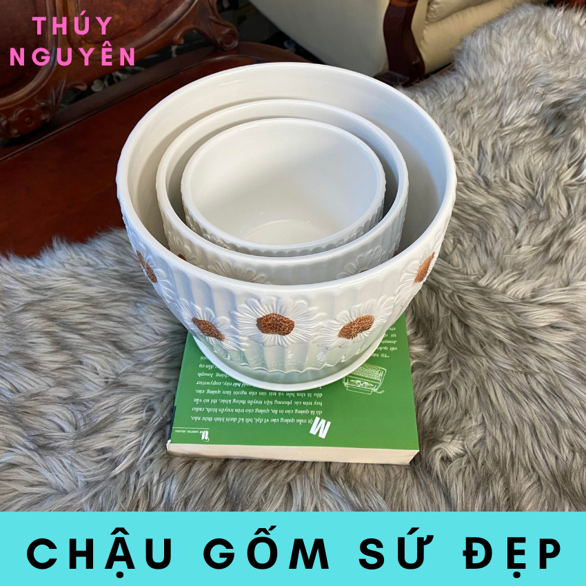 Chậu trồng cây để bàn bằng gốm sứ