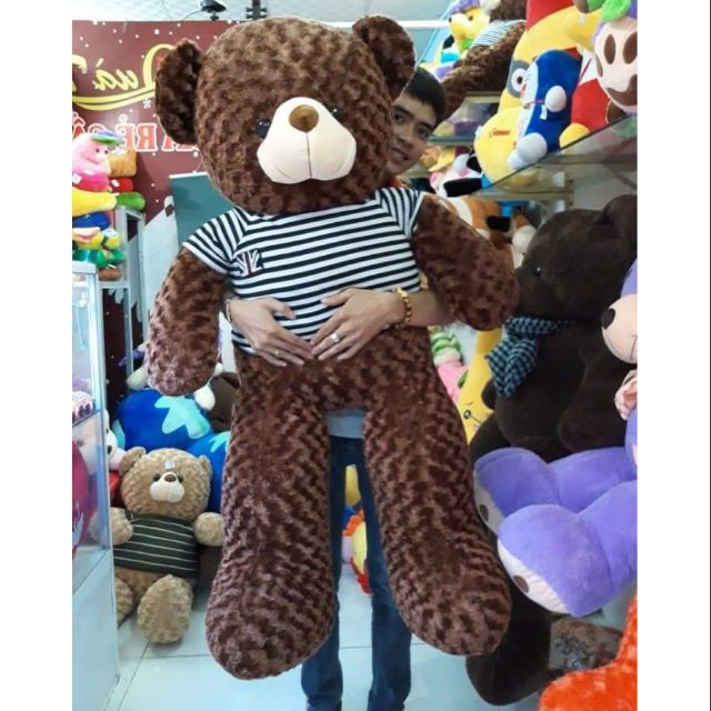 Gấu bông teddy khổ vải 1m4 cao 1m2