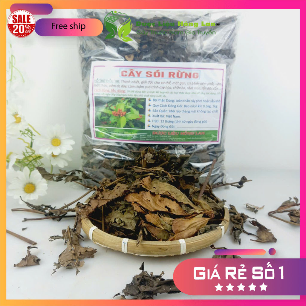Dược liệu cây sói rừng khô sạch đóng gói 500gram