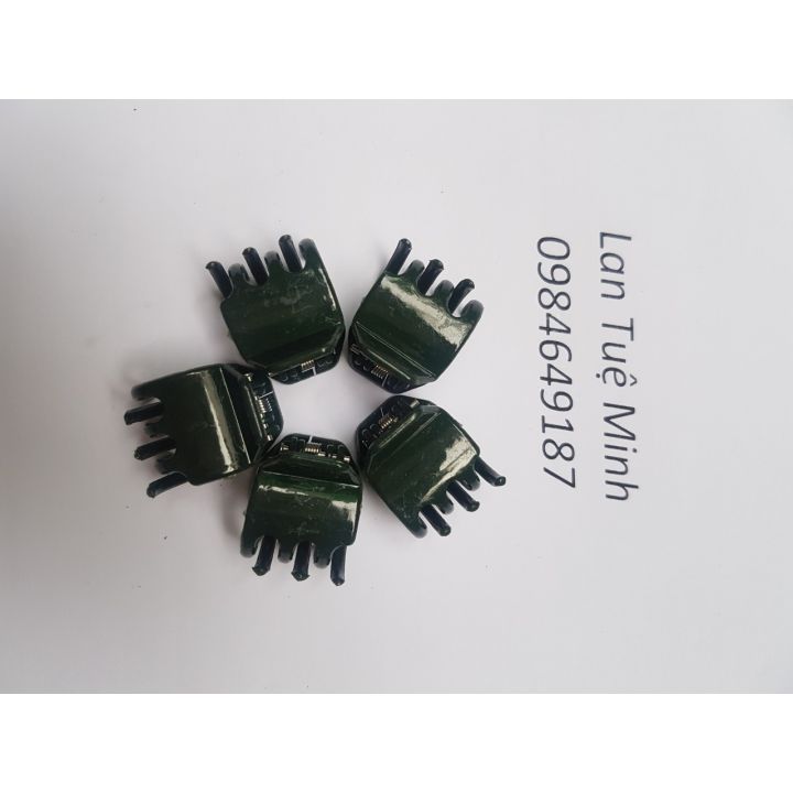 100 kẹp cố định lan thân lớn màu xanh