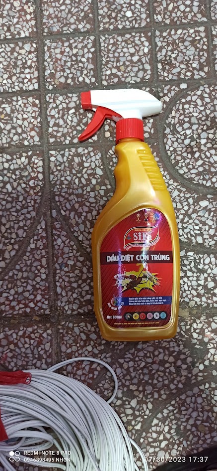 Xịt Diệt Mối tận gốc Sifa 500gr/ Thuốc diệt mối dạng xịt