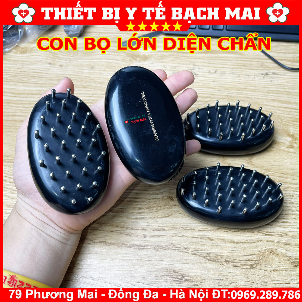 Con Bọ Lớn Diện Chẩn
