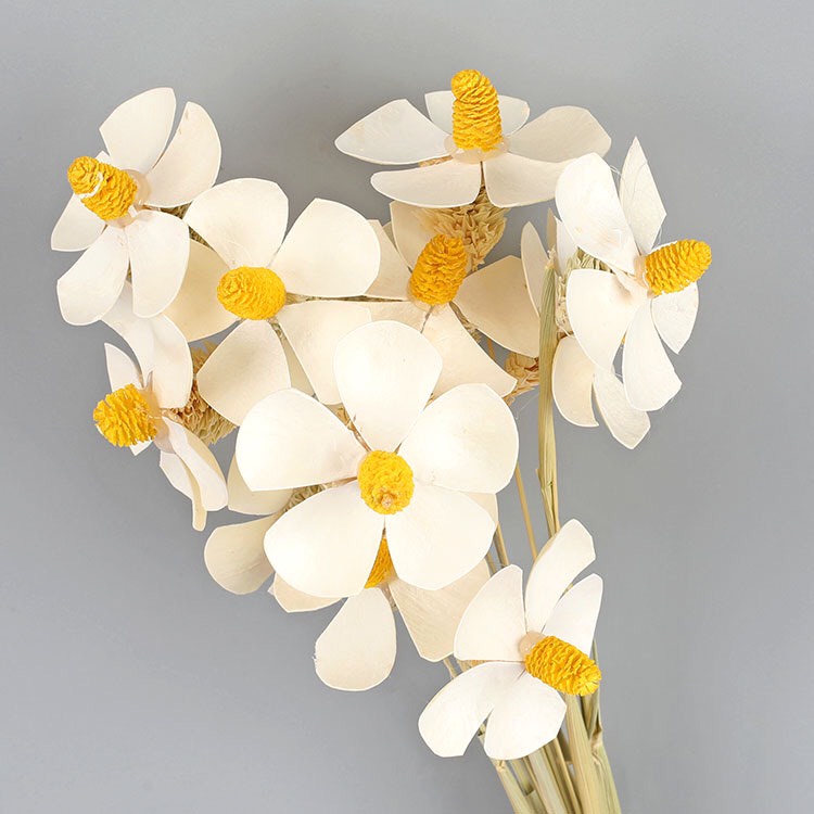 Hoa Cúc cánh bướm handmade Sấy Khô, Hoa khô decor trang trí