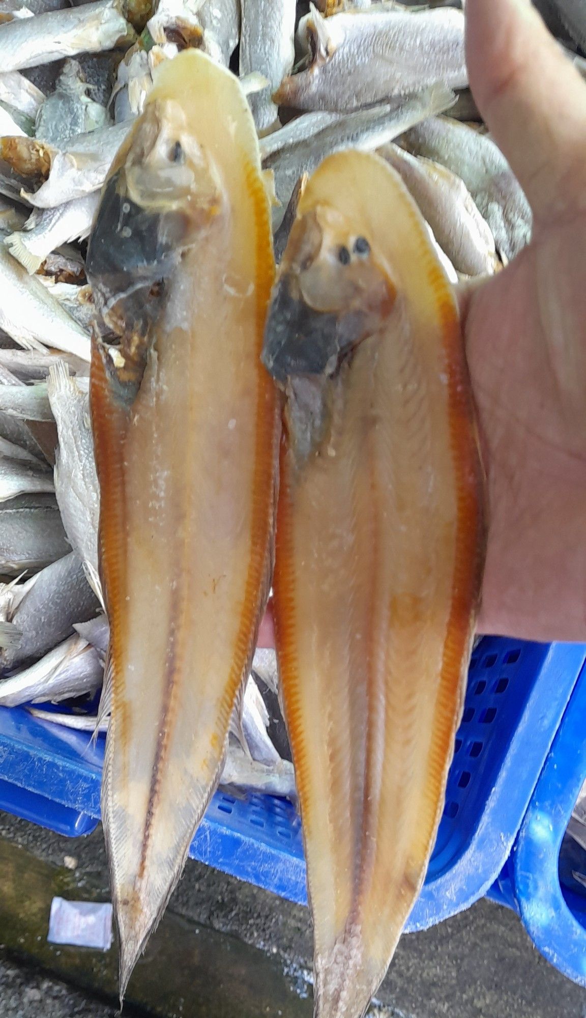 Khô Cá Lưỡi Trâu (Túi 500gr)