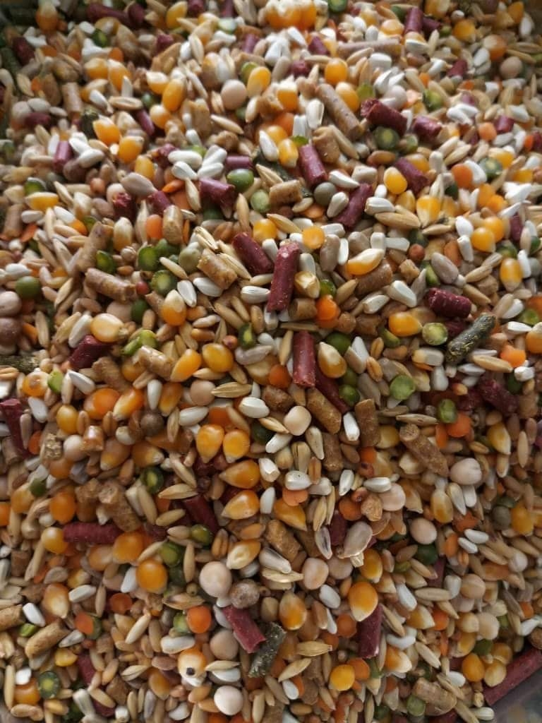 5kg ngũ cốc gà đá royal feeds mỹ siêu tốt cho gà nòi , tre