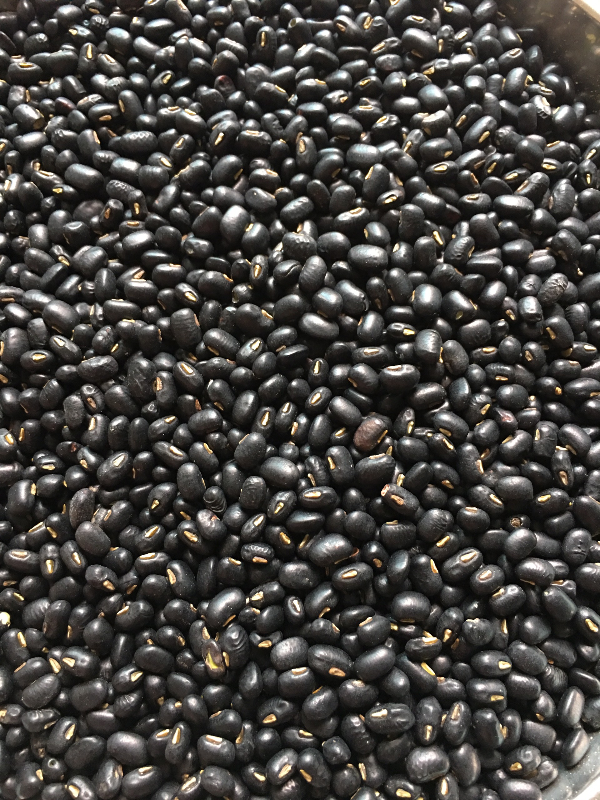 Đỗ đen quê: Sạch - Thơm - Bở - Xanh lòng 96% (gói 1kg hút chân không)