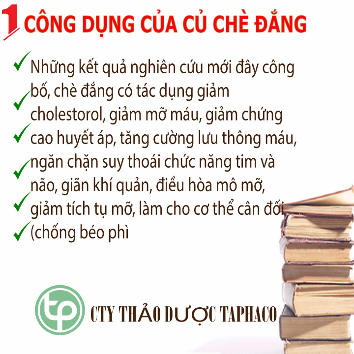 [Hàng Mới Về] Chè đắng Cao Bằng sấy khô - Hàng sạch xanh chất lượng cao đóng gói túi lớn 1kg - Dùng để pha các món trà thơm ngon và bổ dưỡng