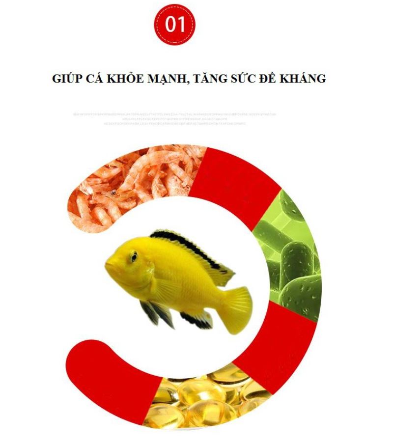 Cám thái Omega/ Sakura dành cho mọi loại cá