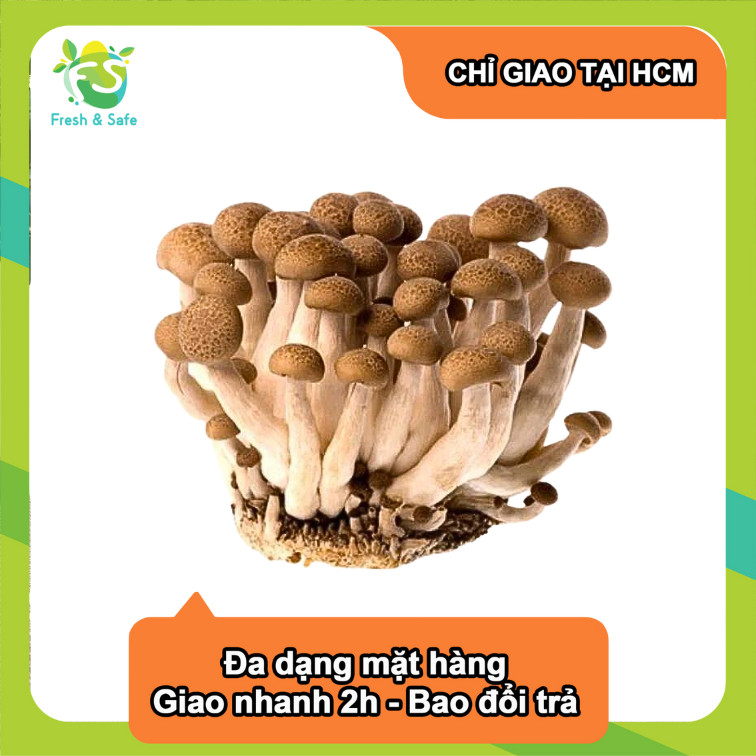 [Chỉ Giao HCM] Nấm Linh Chi Nâu - 125g