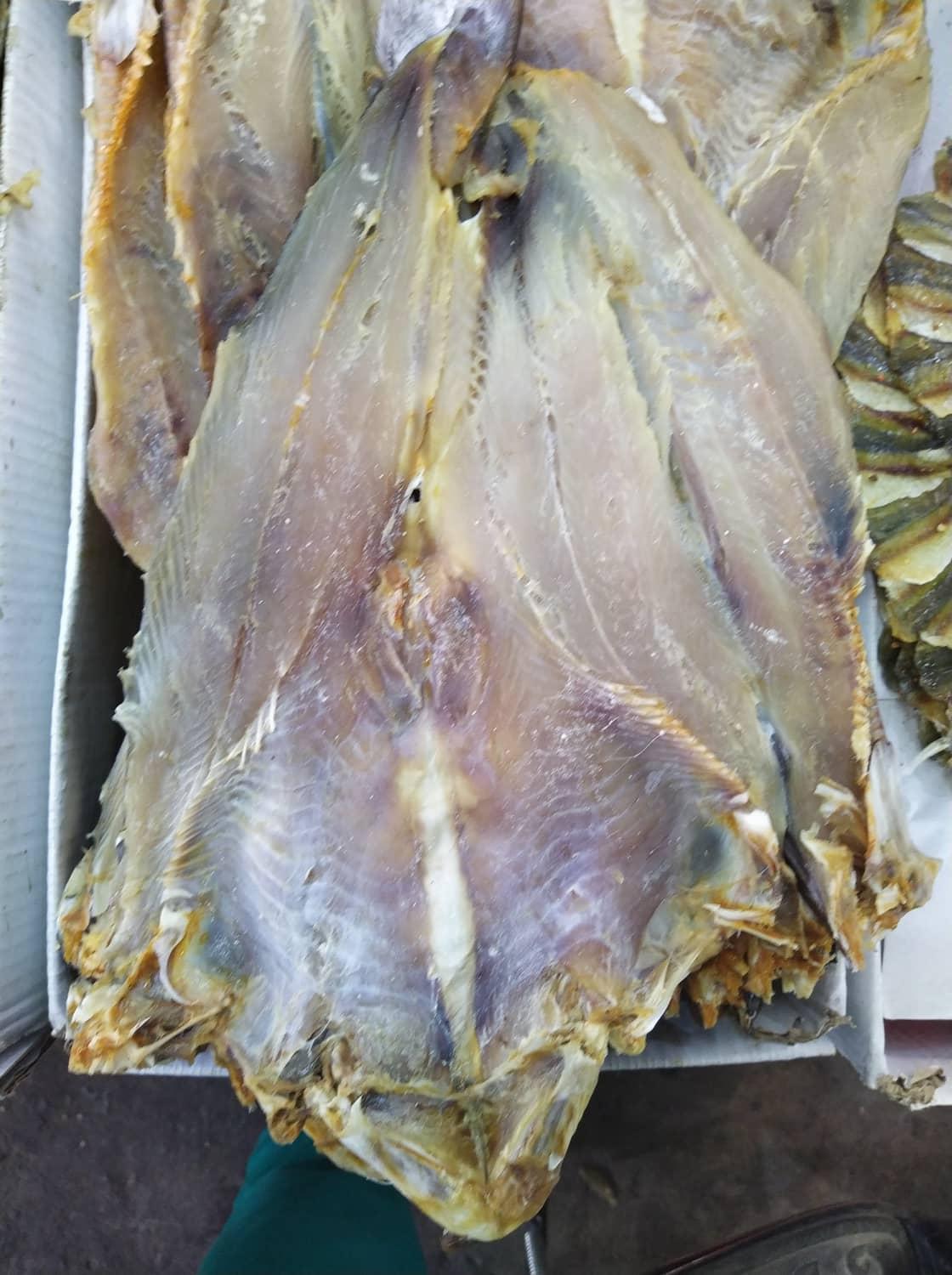 con 1kg khô cá rún kiên giang loại vừa từ 500gram trở xuống