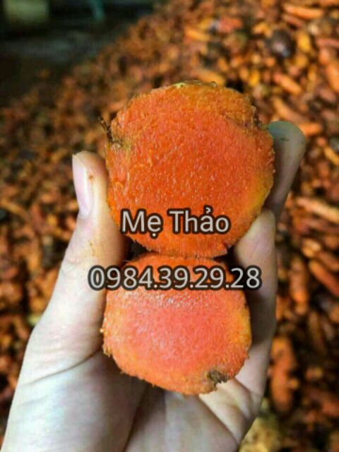 TINH BỘT NGHỆ ĐỎ 100G