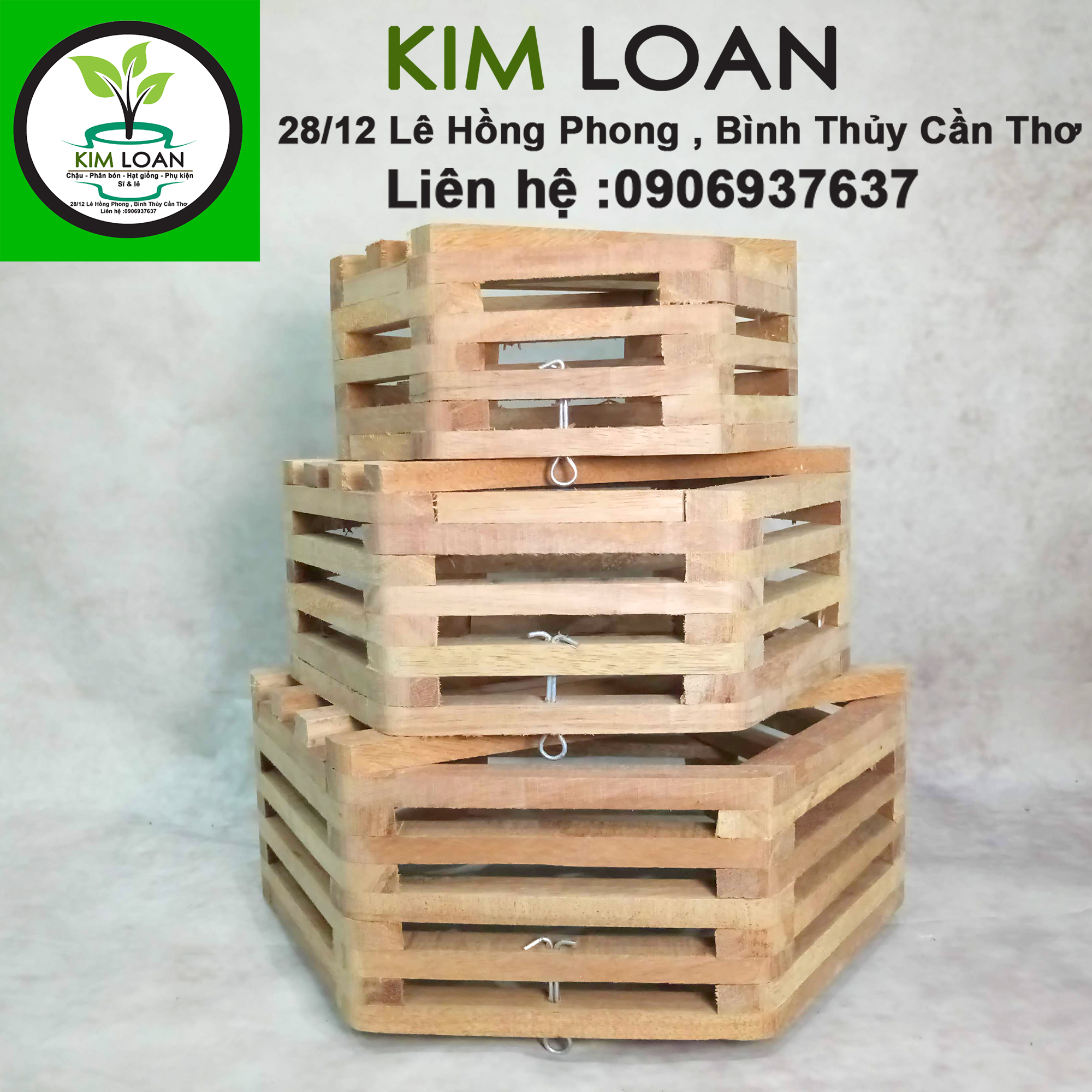 Chậu lan gỗ lục giác 21x10cm